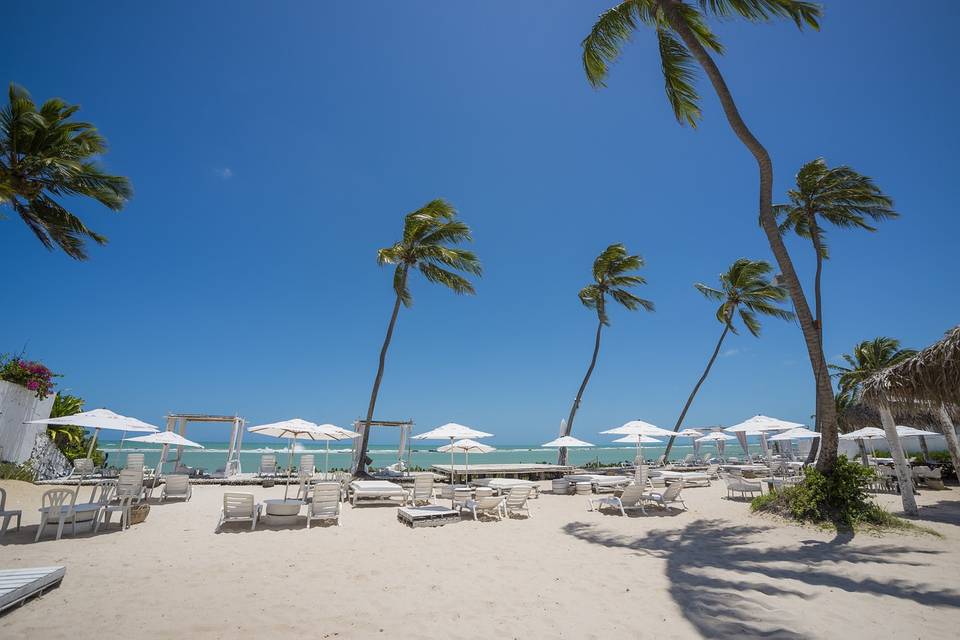 MACEIÓ