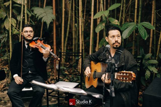 Opção violão + violino