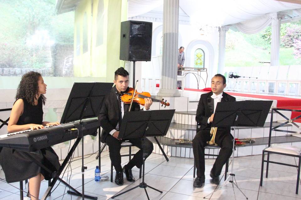 Sonata musical eventos