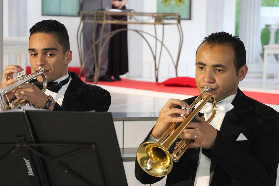 Sonata musical eventos