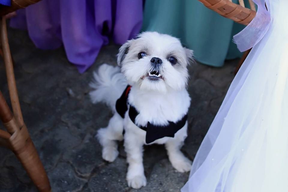 Casamento