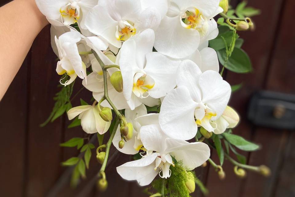 Buquê cascata orquídeas