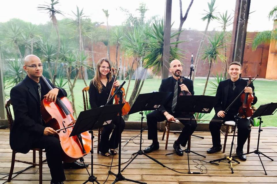 Quarteto de Cordas GK
