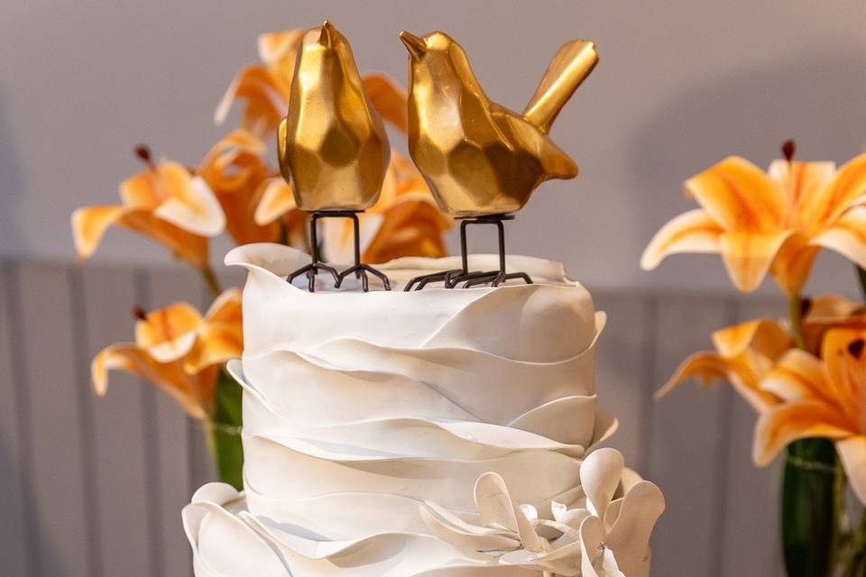 Fotografo de Casamento