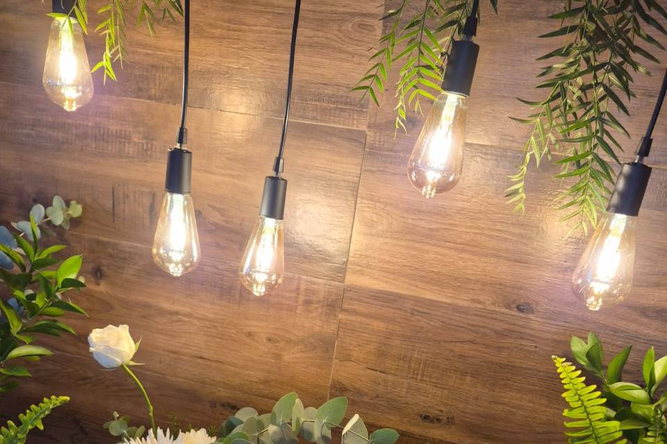 Luzes e rosas