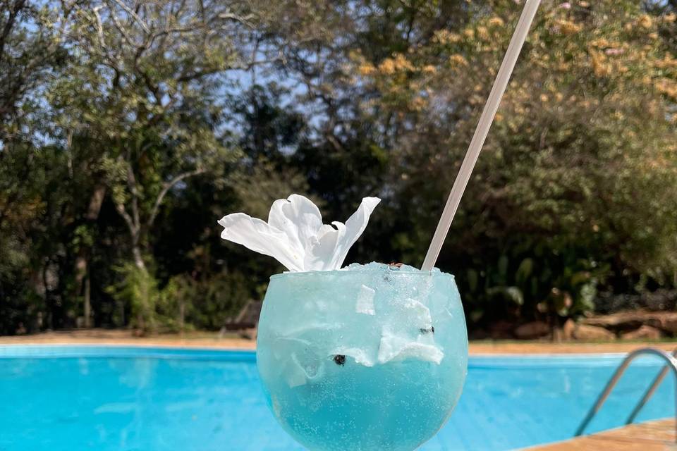 Bar Piscina