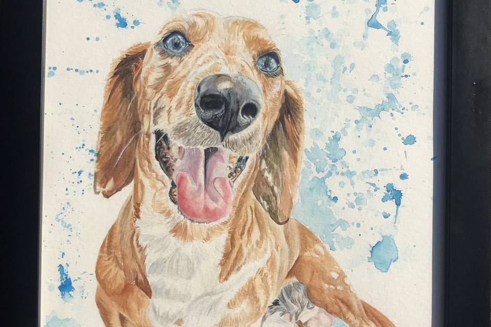 Aquarela