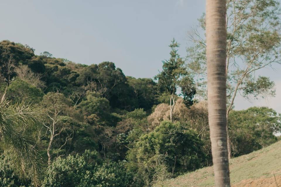 Cerimônia no jardim
