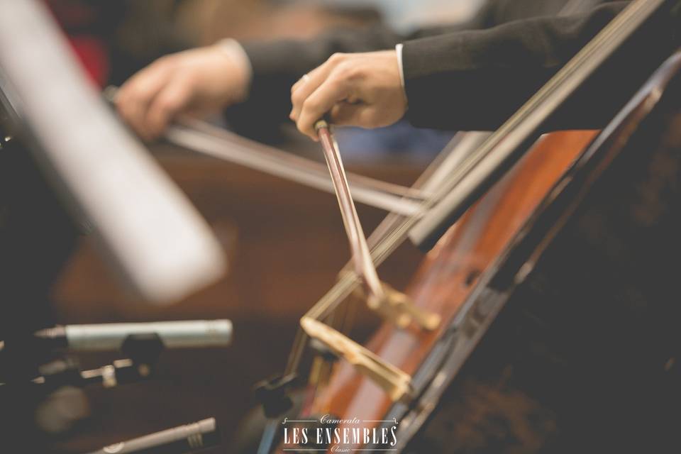 Camerata Les Ensembles