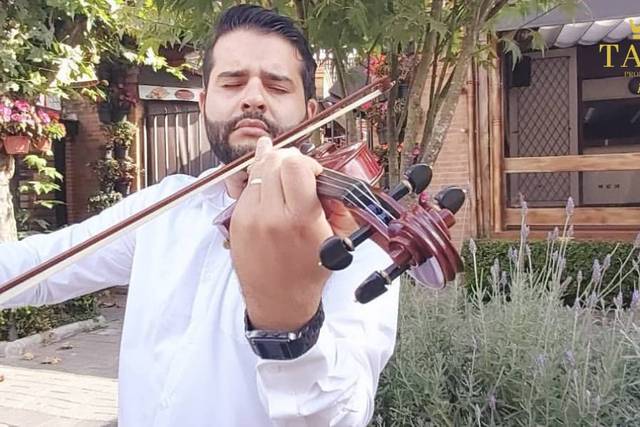 Tavo solo