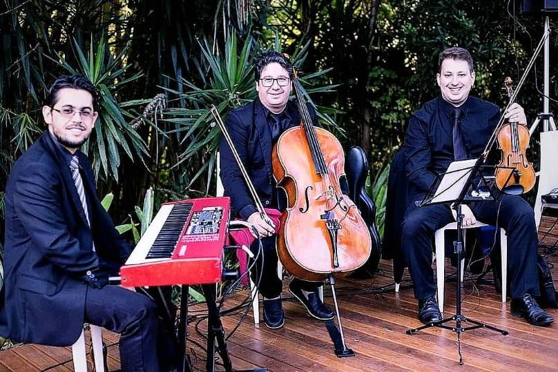 Piano, Violoncelo e violino