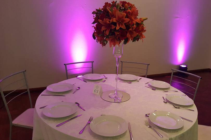 Matelli Decorações de Eventos