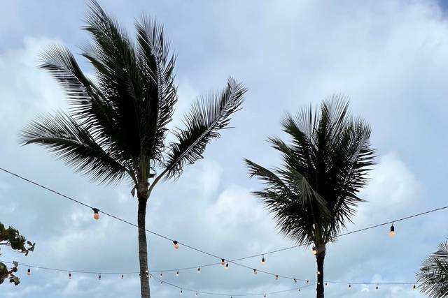 Hibisco Praia