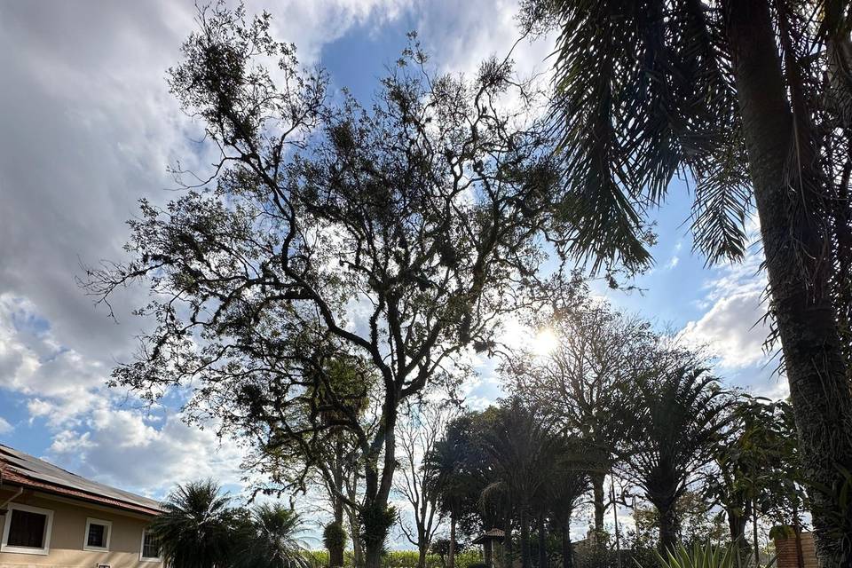 Fazenda Jaragua