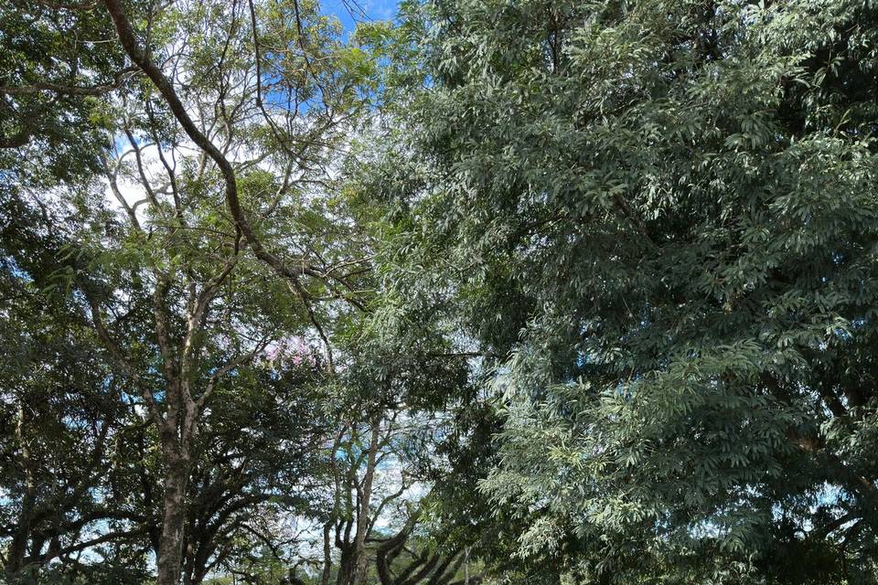 Fazenda Jaragua