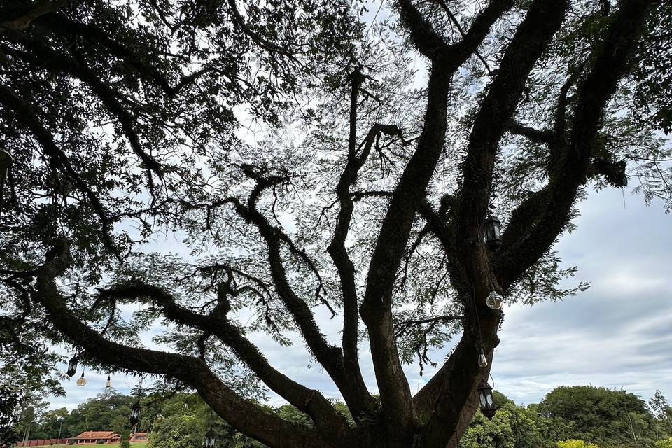 Fazenda Jaragua