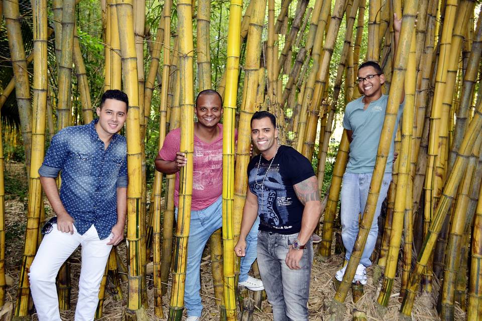 Grupo de pagode