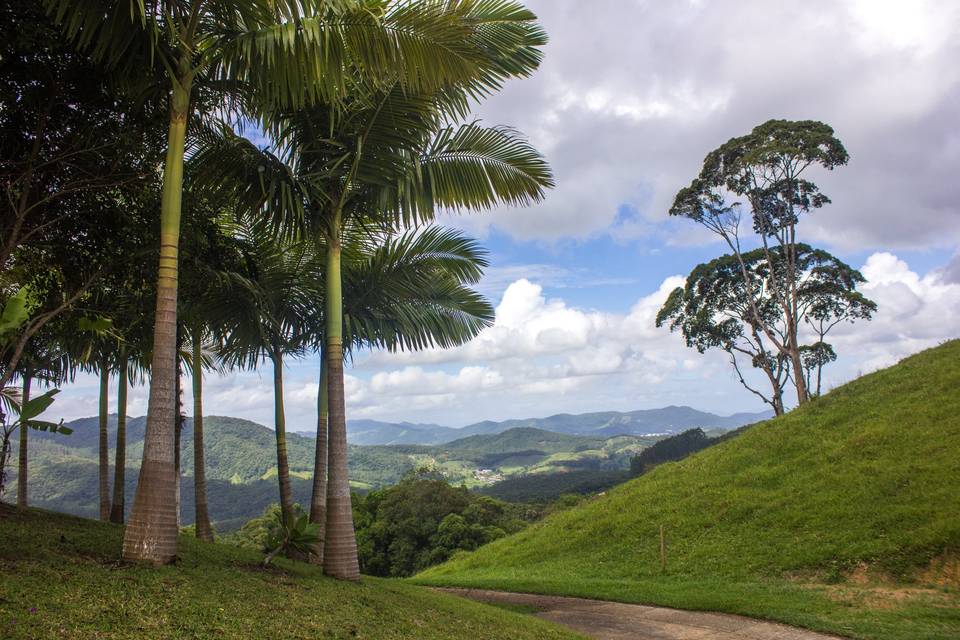 Vista caminho