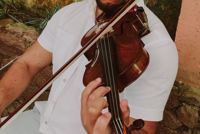 Violinista