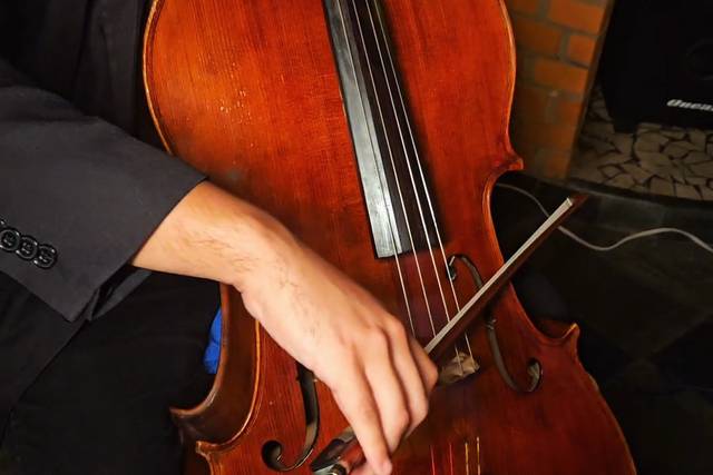 Violoncelista