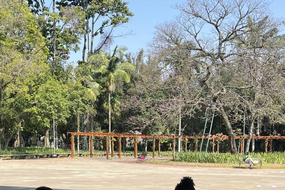 Recreação