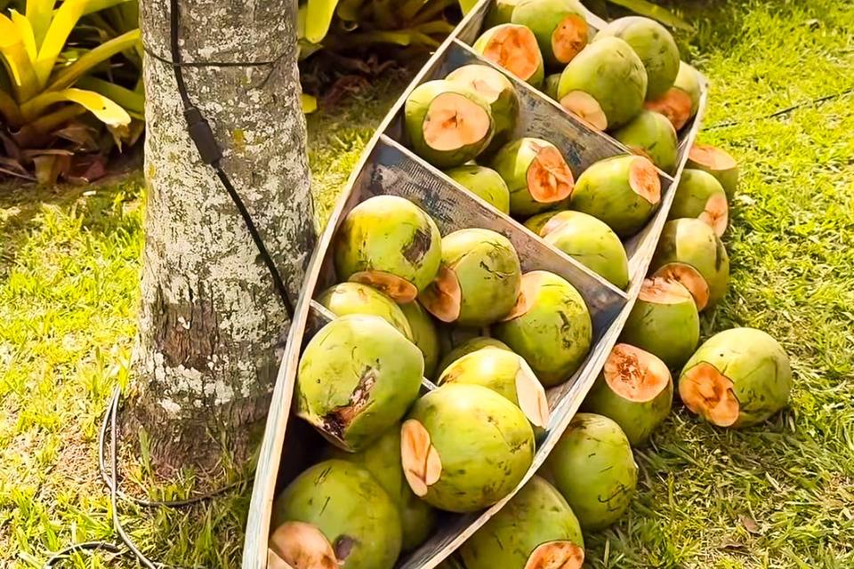 Barco de coco