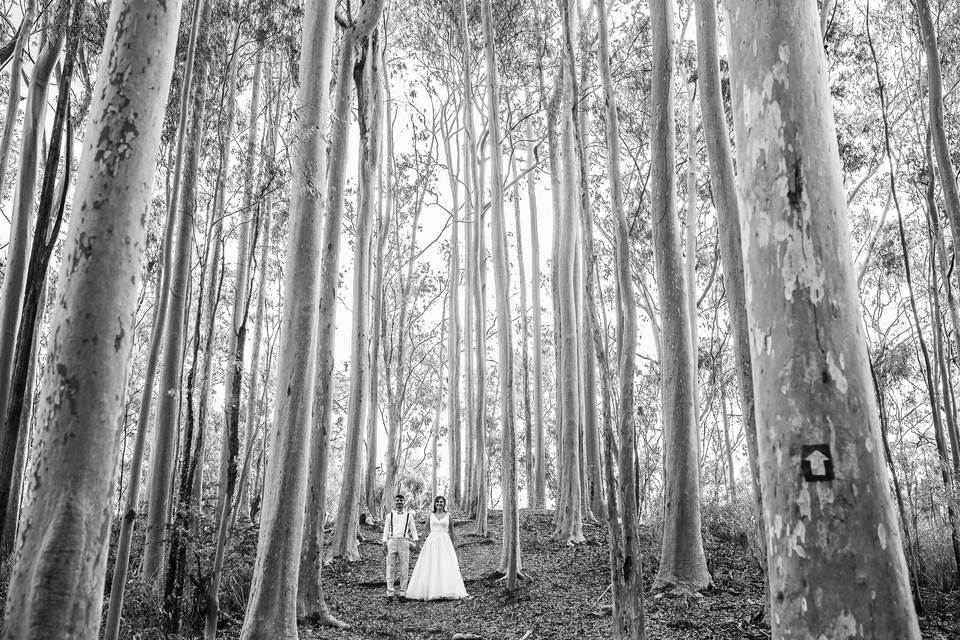 Pre-Wedding - Parque da cidade