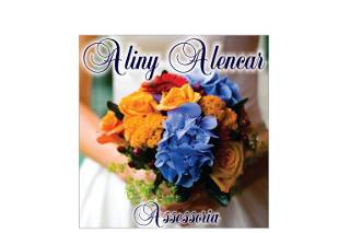 Assessoria de Eventos e Cerimonial Aliny Alencar Logo Empresa