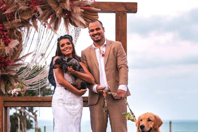 Os cães foram os porta Aliança