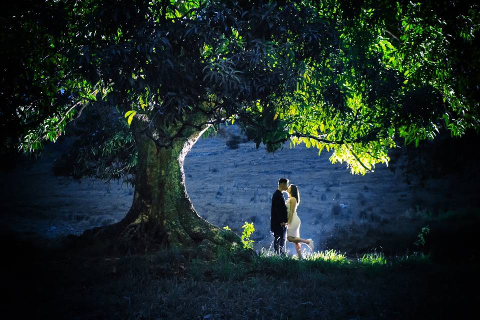 Olho Artístico Fotografia