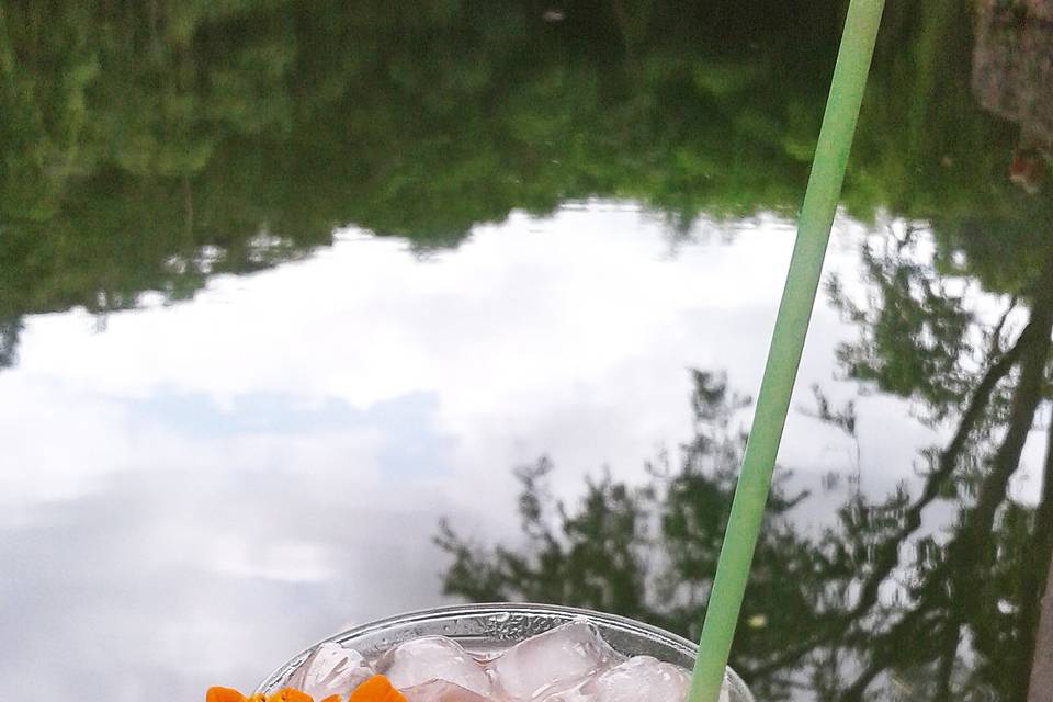 Caipifruta de ameixa