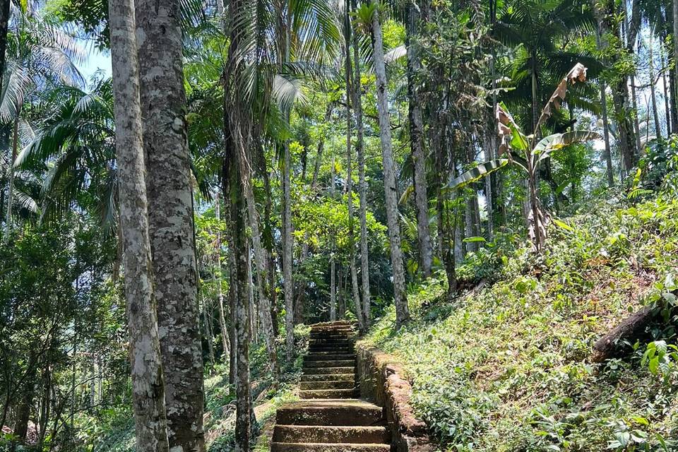 Escadaria