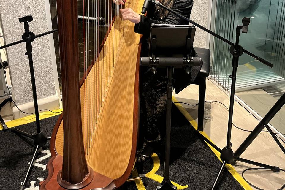Músicos