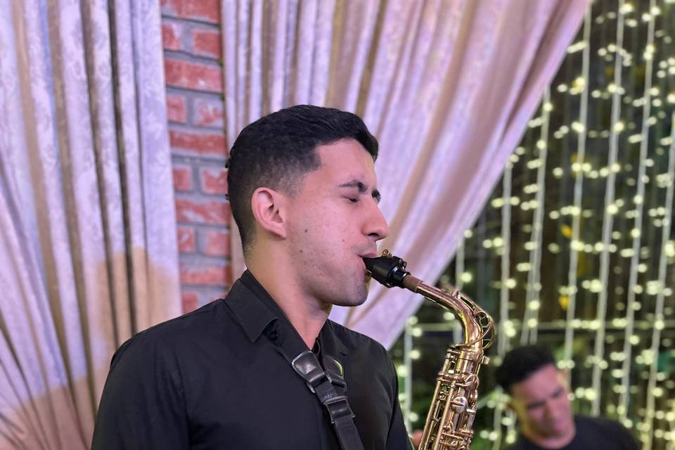 Músicos