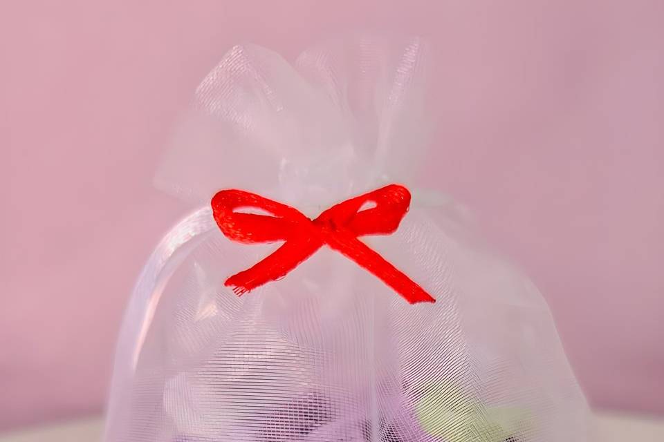 Rosa Pétala a Pétala
