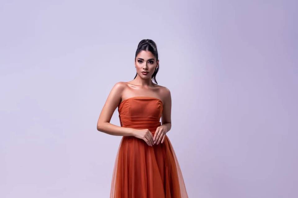 Aluguel de Vestido em Campinas