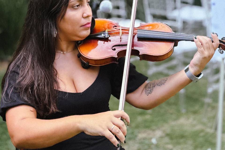 Violino