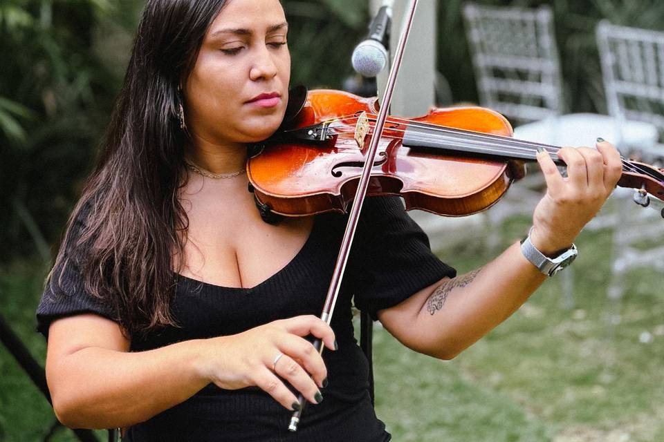 Violino