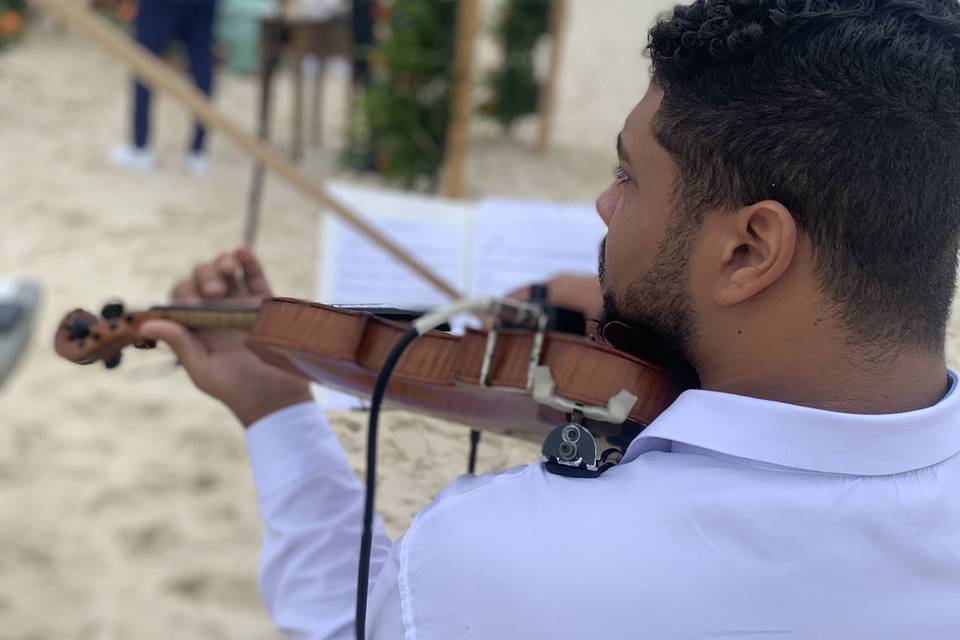 Violino na praia