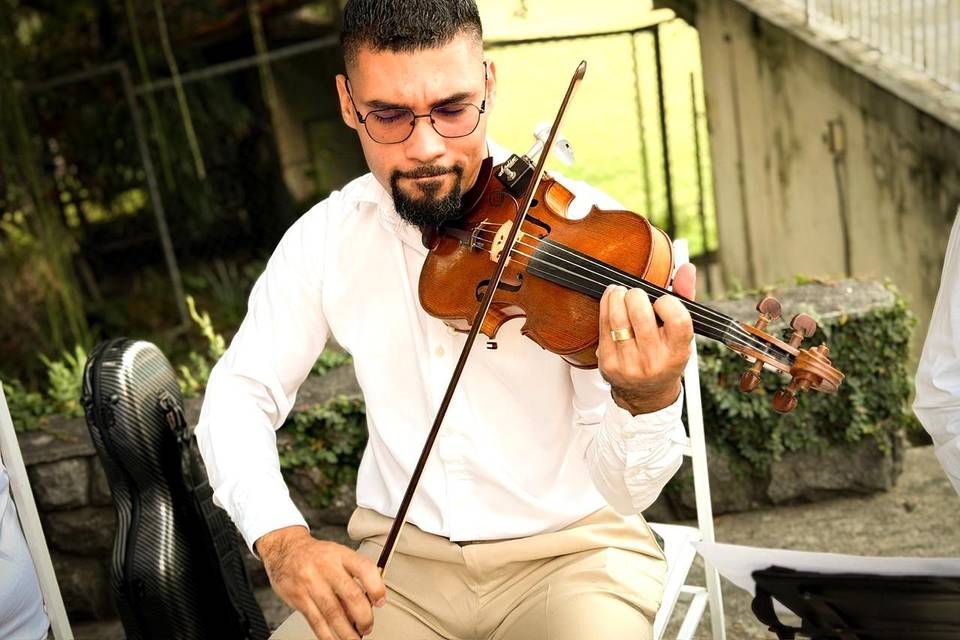Violino