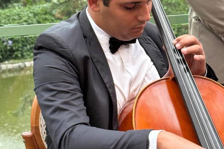 Cello