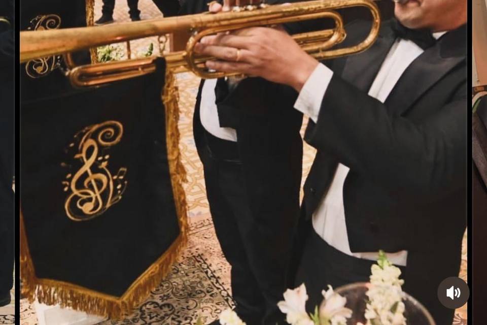 Novo Tom