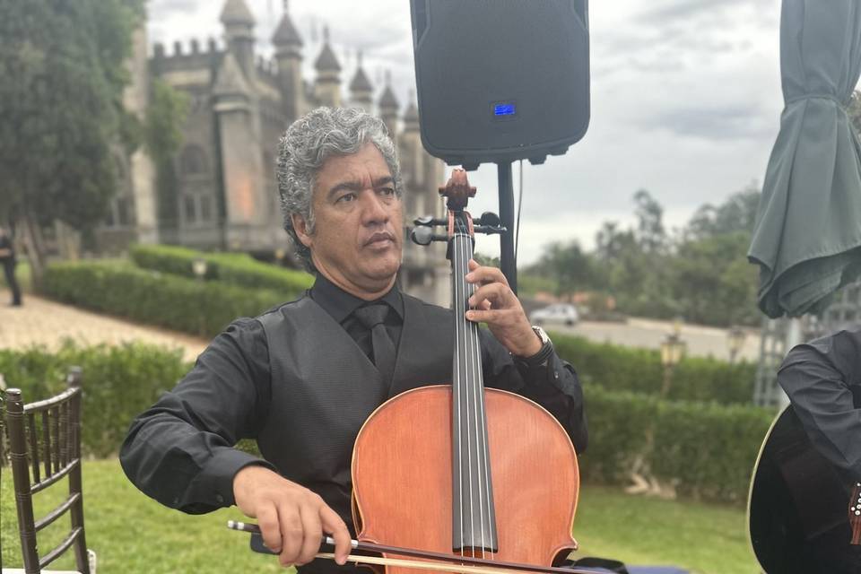 Novo Tom Assessoria Music