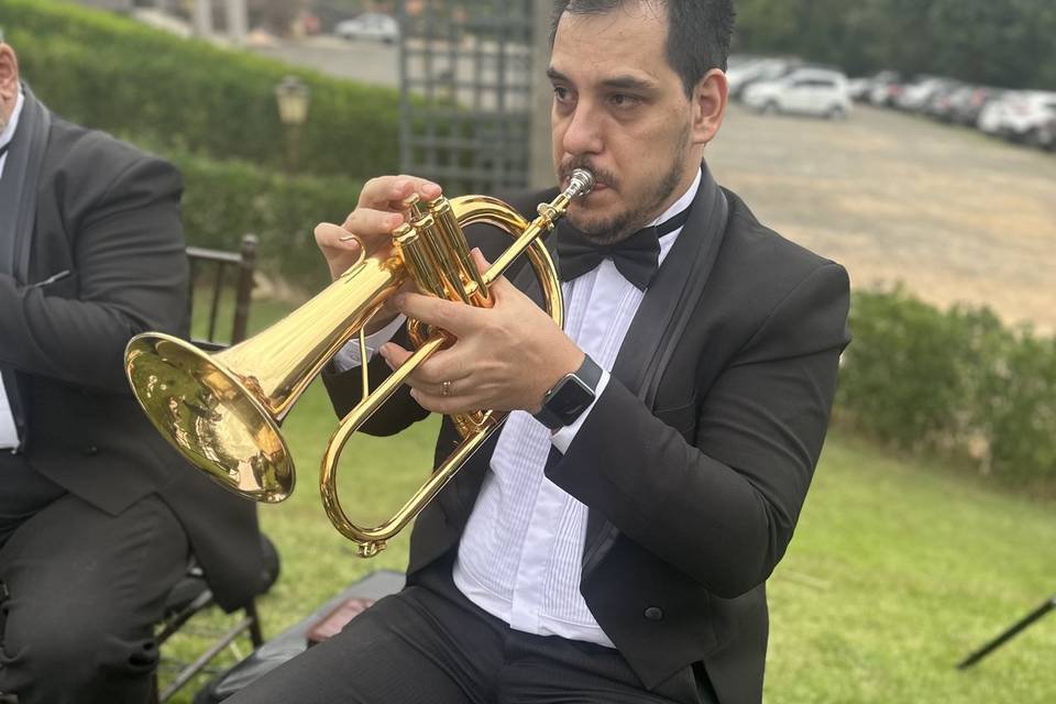 Novo Tom Assessoria Music