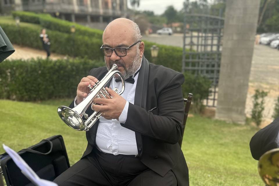 Novo Tom Assessoria Music