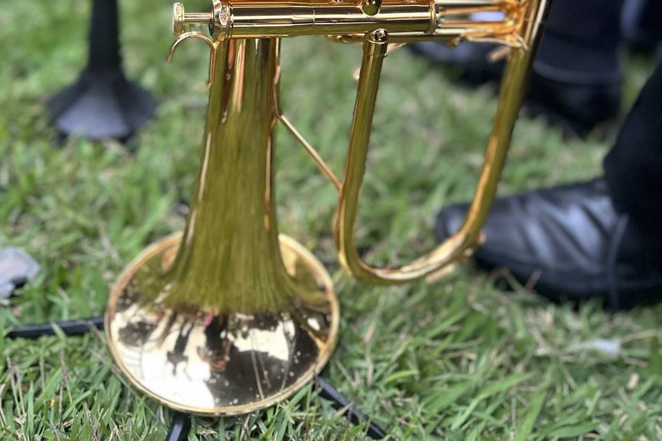 Novo Tom Assessoria Music