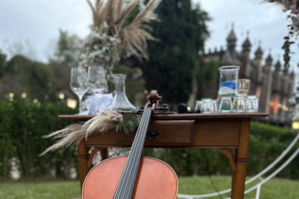 Novo Tom Assessoria Music