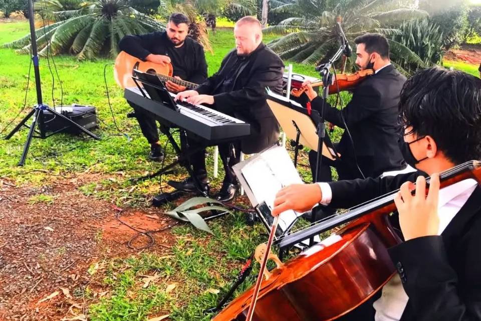 Novo Tom Assessoria Music