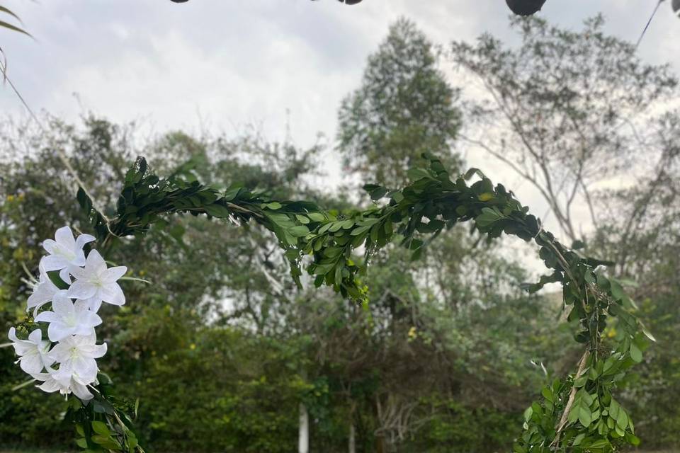 Arco coração