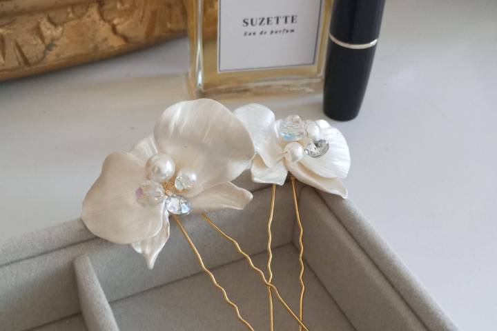 Suzette Atelier